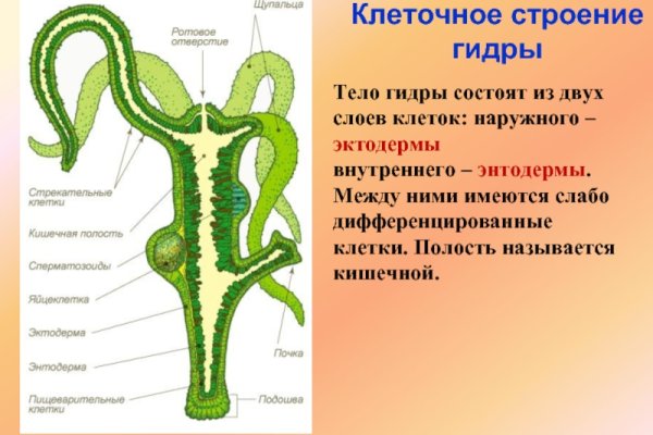 Кракен как зайти
