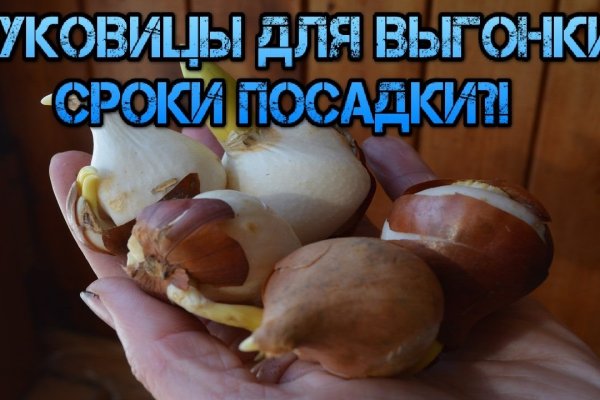 Kraken вход и ссылки