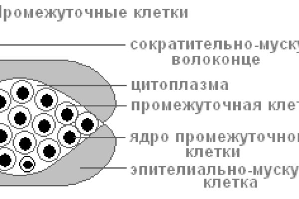 Кракен личный кабинет