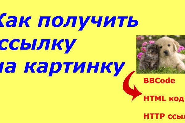 Кракен ссылки krakenwebs org