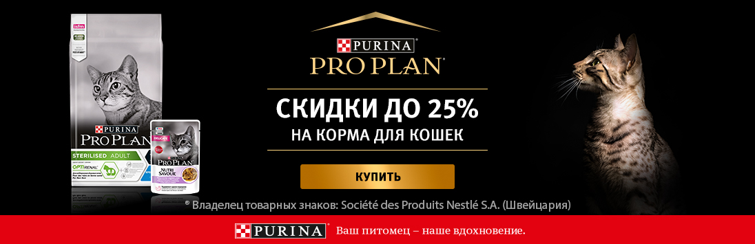 Кракен 12 сайт