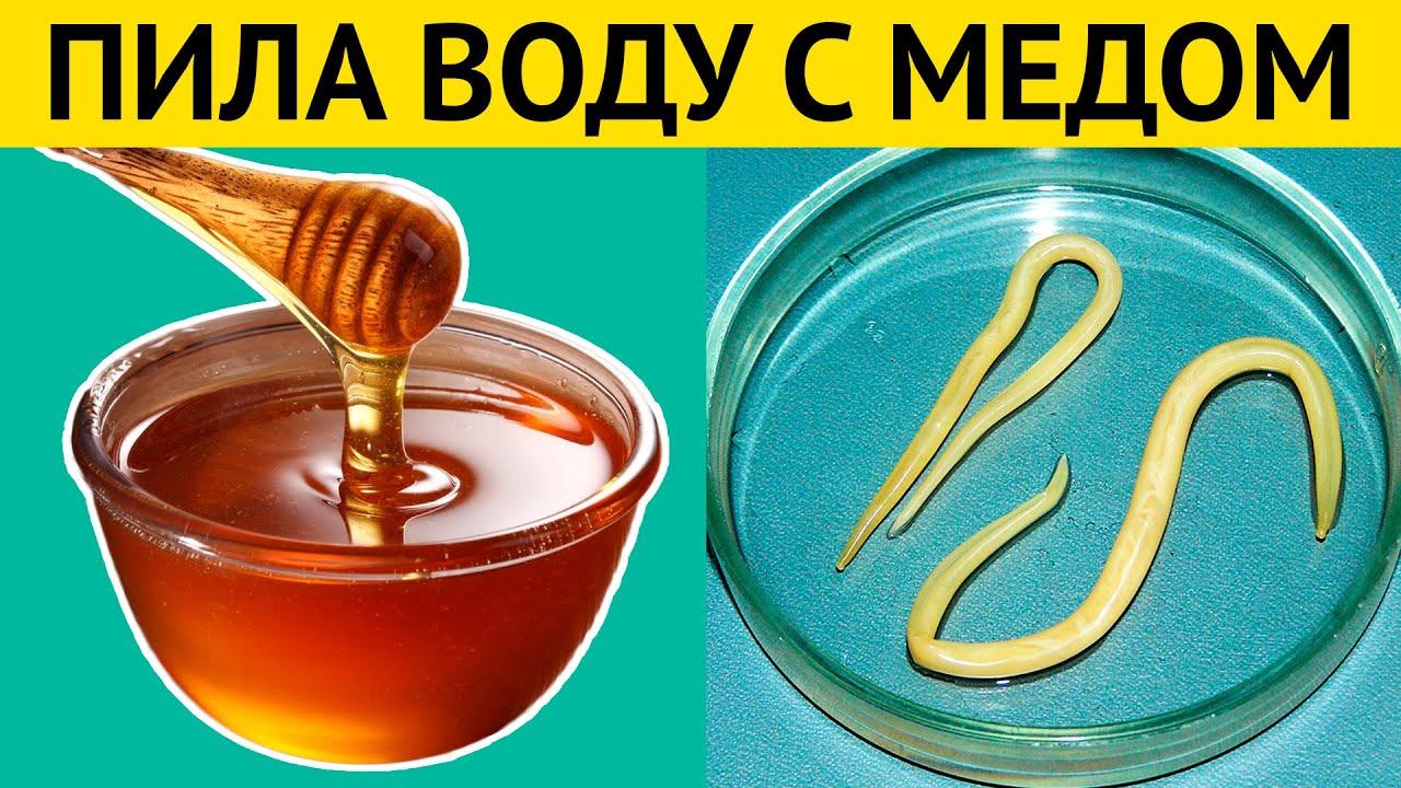 Мед ютуб. Приспособление для поедания меда. С чем едят мед.